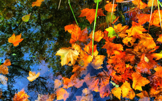 482003 (a): :2560x1600